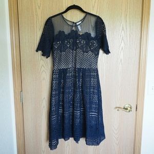 Navy lace dress from Francesca's